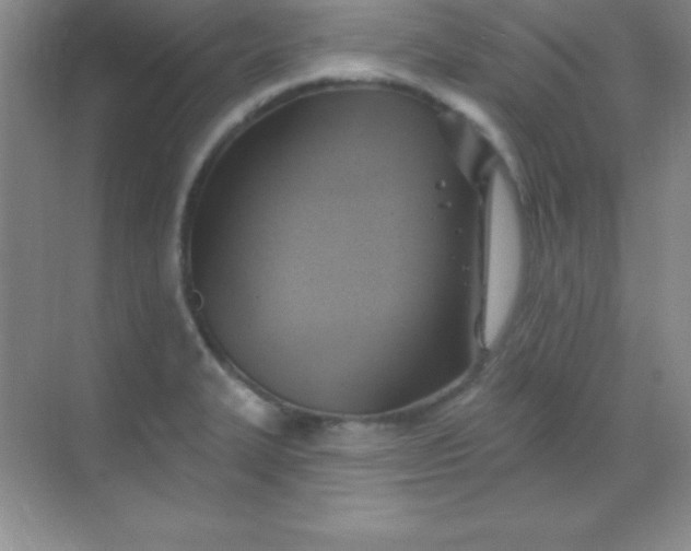 X0000068841327200605191915