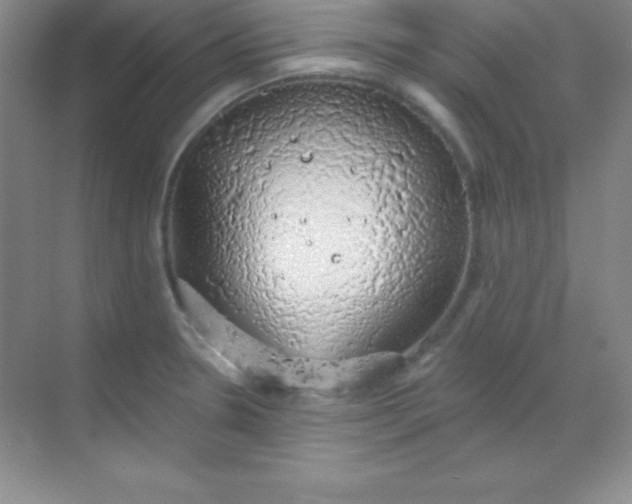 X0000068841330200605191915