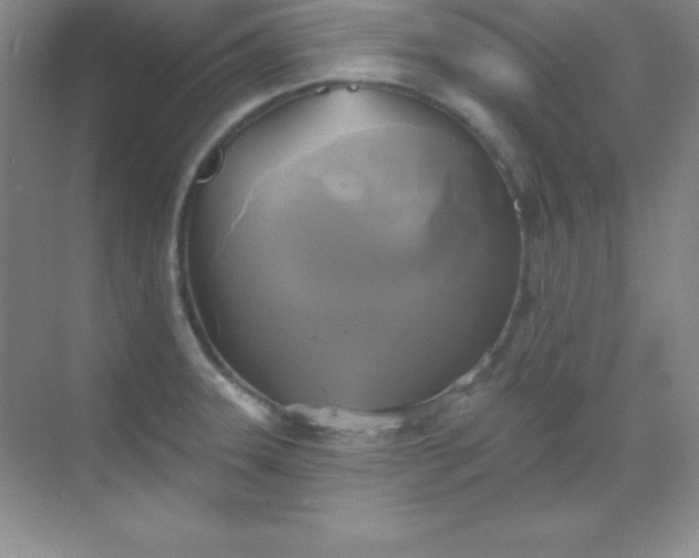 X0000068841331200605191915