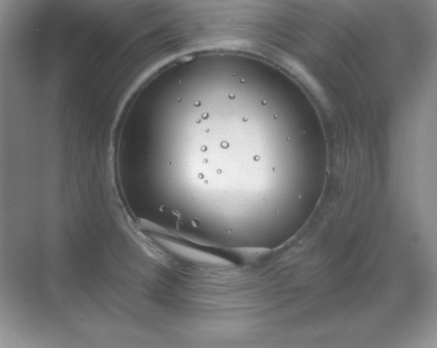 X0000068841332200605191915