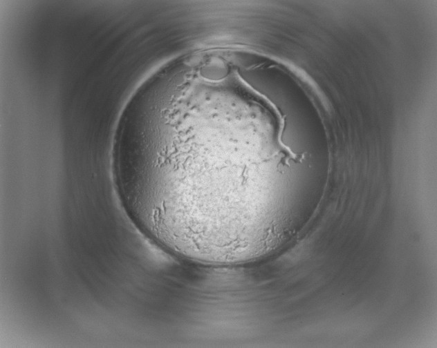 X0000068841333200605191915