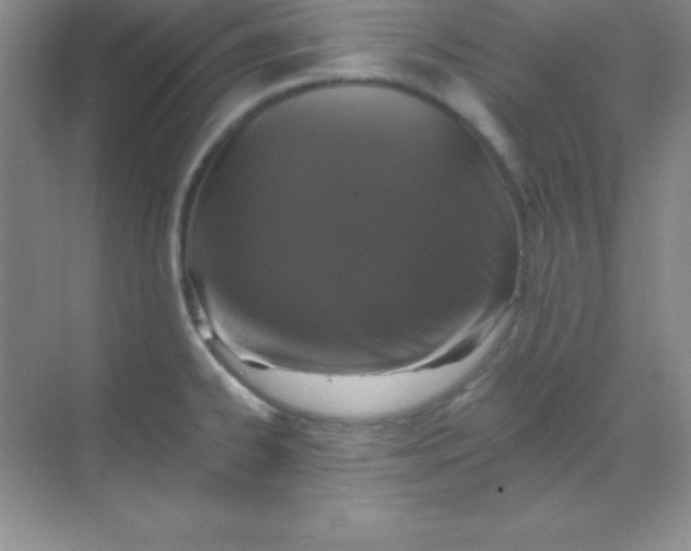 X0000068841334200605191915