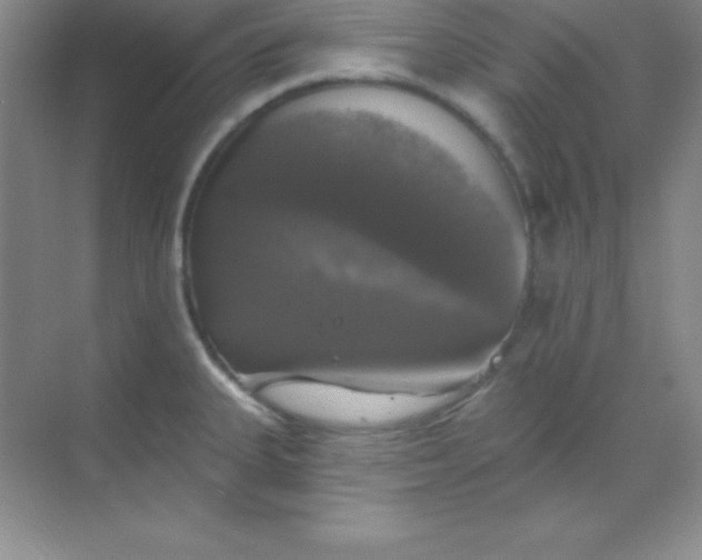 X0000068841335200605191915