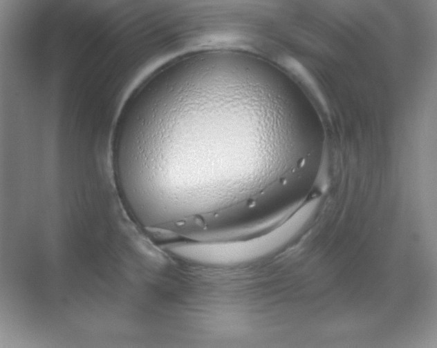 X0000068841336200605191915