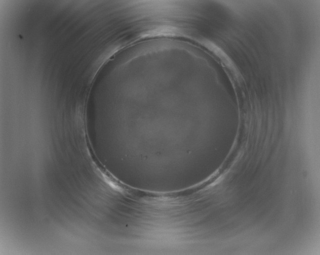 X0000068841337200605191915