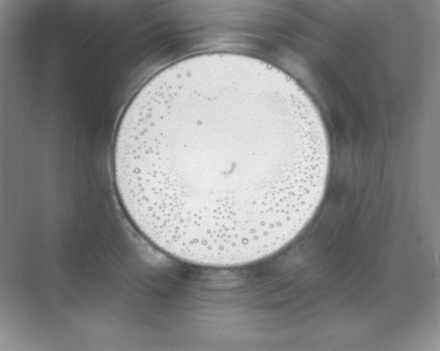 X0000068841338200605191915