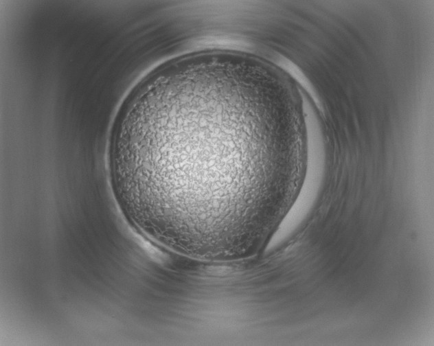 X0000068841339200605191915