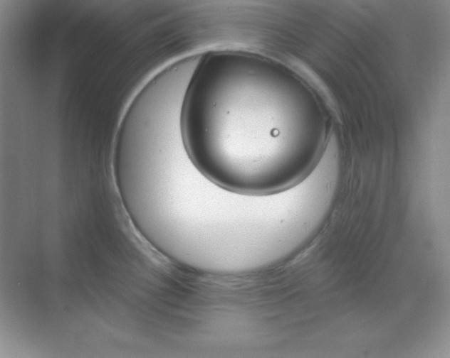 X0000068841340200605191916