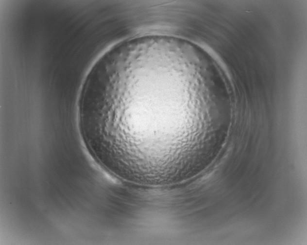 X0000068841341200605191916