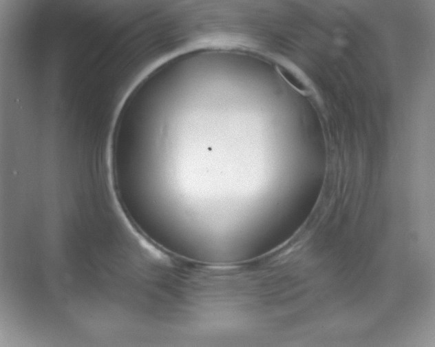 X0000068841343200605191916