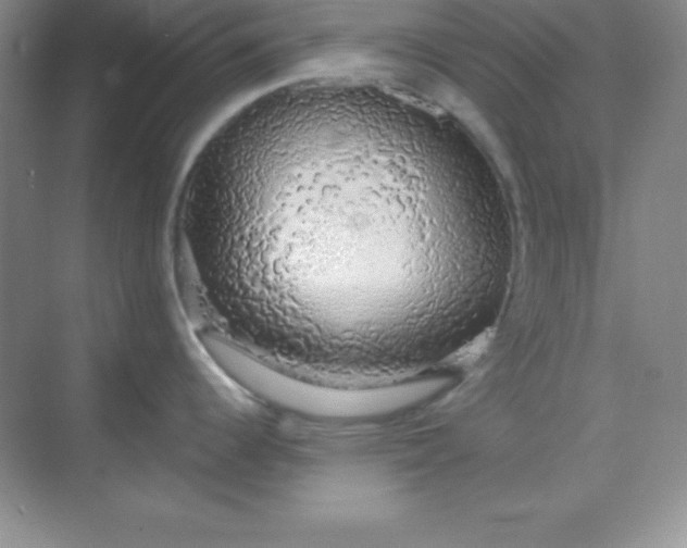 X0000068841344200605191916