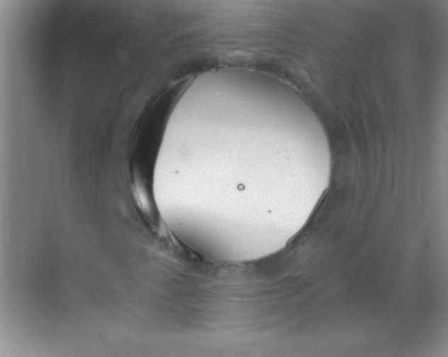 X0000068841345200605191915