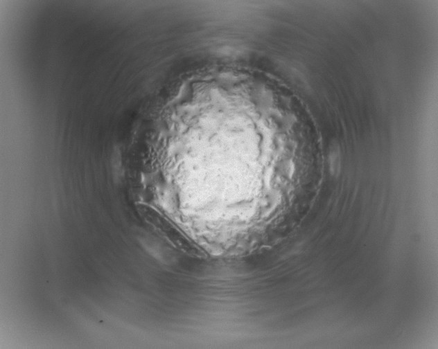 X0000068841347200605191915