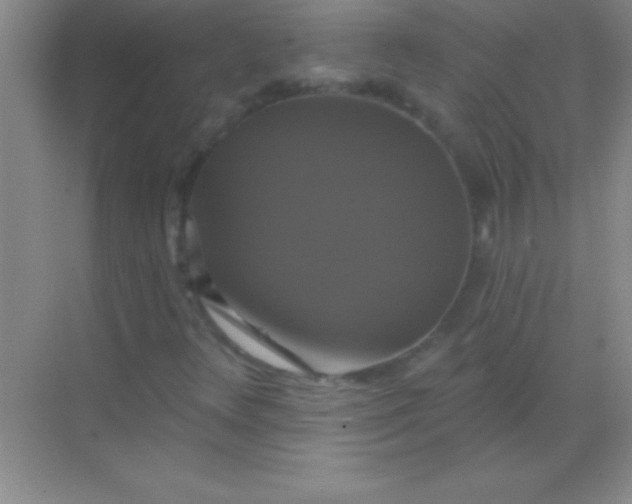 X0000068841348200605191915