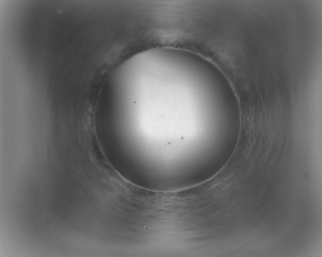 X0000068841349200605191915