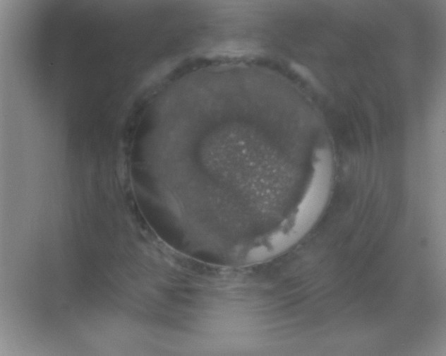 X0000068841350200605191915