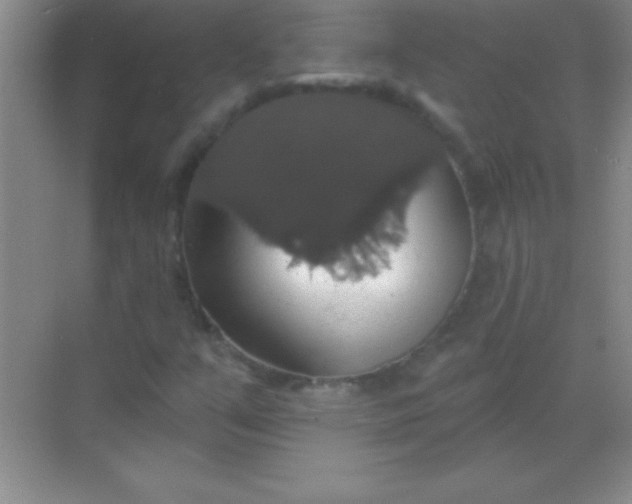 X0000068841351200605191915