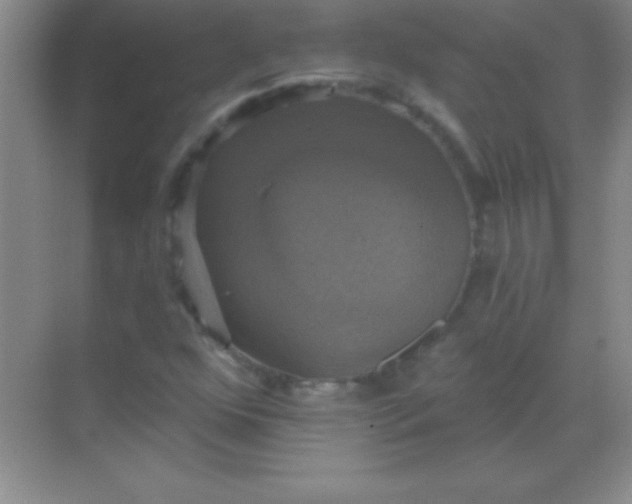 X0000068841352200605191915