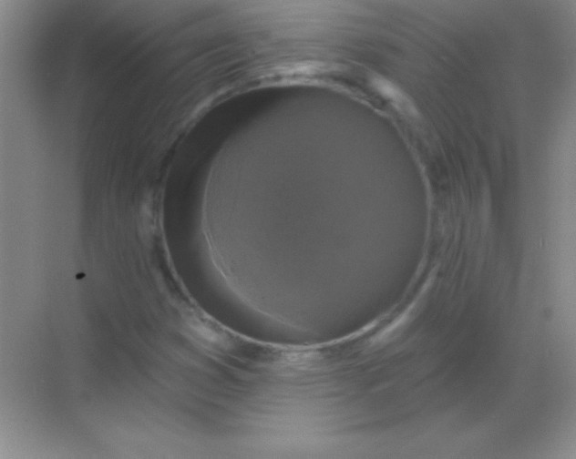 X0000068841353200605191915