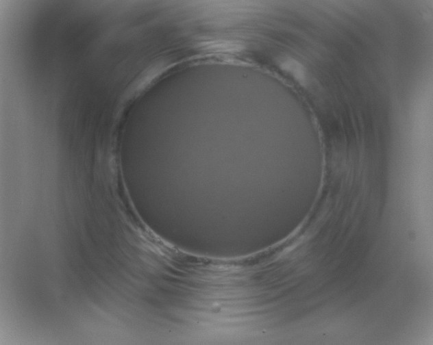 X0000068841354200605191915