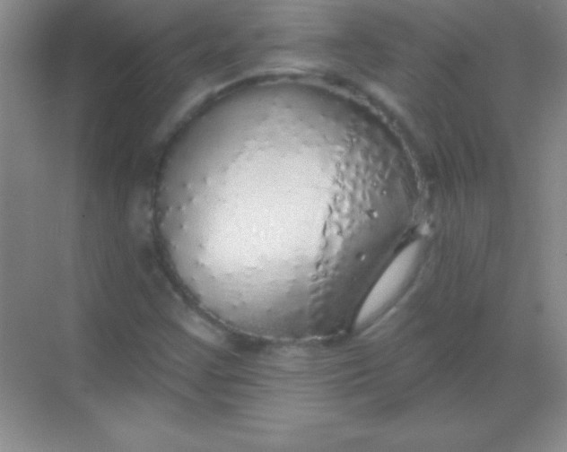 X0000068841355200605191915