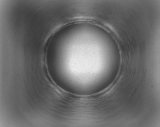 X0000068841357200605191915