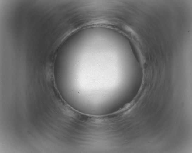 X0000068841361200605191914