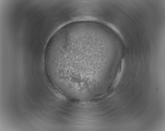 X0000068841364200605191914