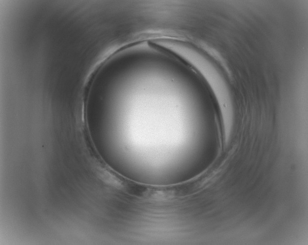 X0000068841365200605191914