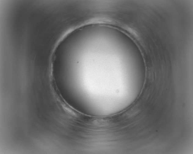 X0000068841366200605191914