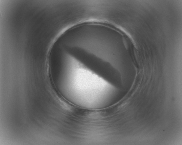 X0000068841367200605191914