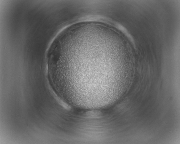 X0000068841368200605191914