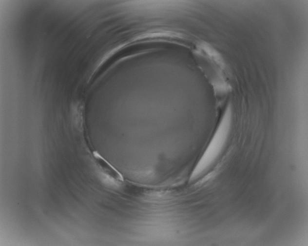 X0000068841369200605191914