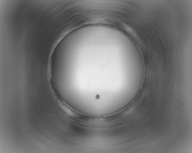 X0000068841370200605191914