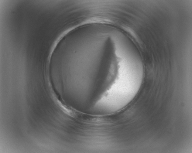 X0000068841371200605191914