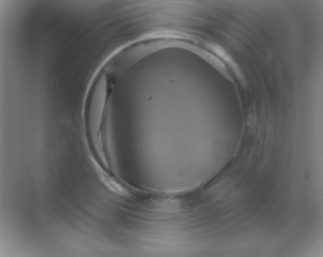 X0000068841372200605191914