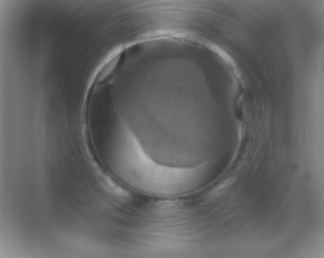 X0000068841373200605191914