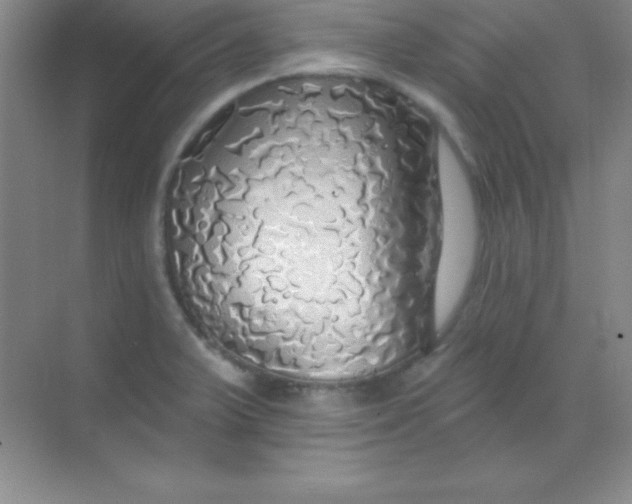 X0000068841375200605191914