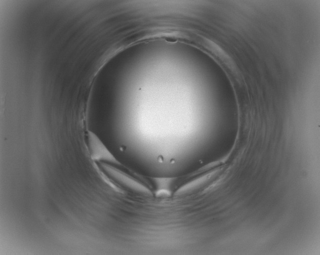 X0000068841377200605191914