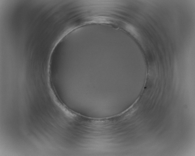 X0000068841378200605191914