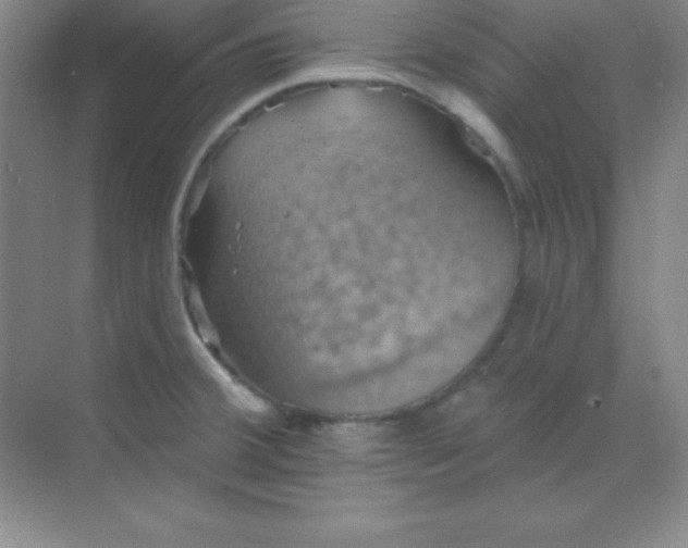 X0000068841380200605191914