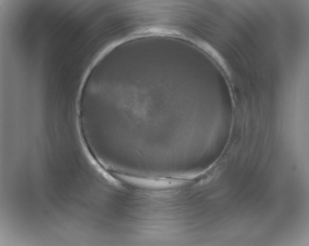 X0000068841381200605191914