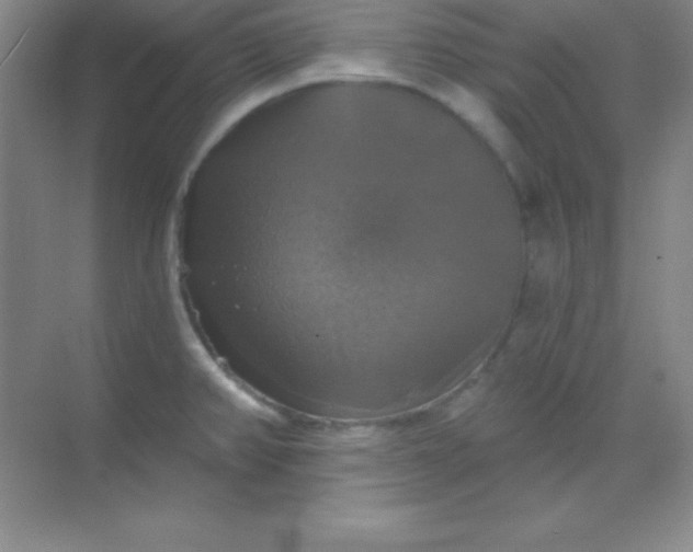 X0000068841382200605191914