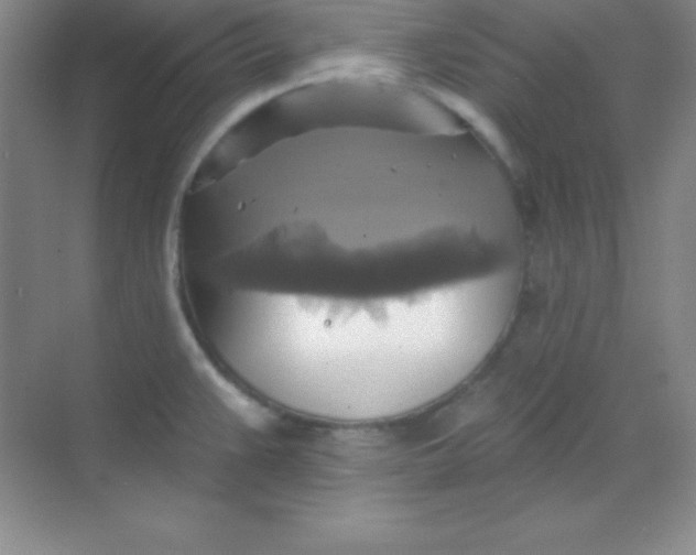 X0000068841383200605191914