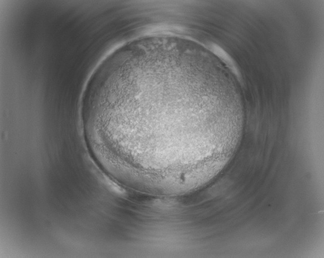 X0000068841384200605191914