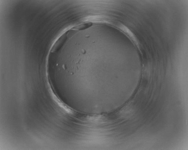 X0000068841386200605191914