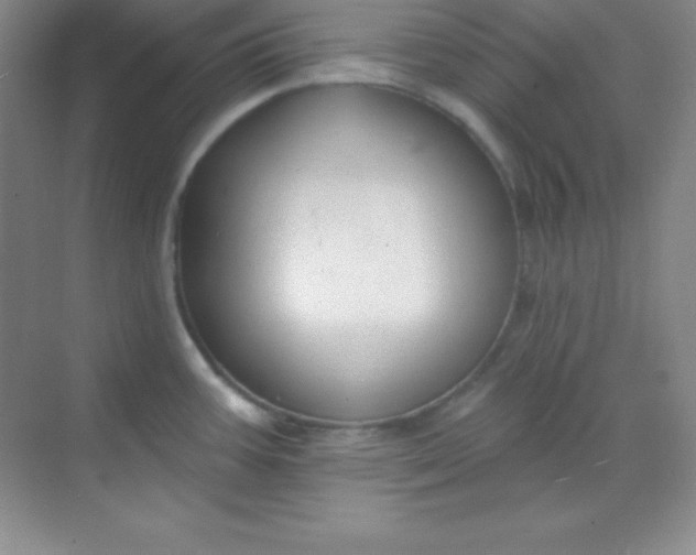 X0000068841387200605191914