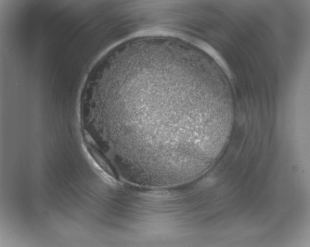 X0000068841388200605191914