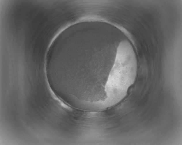 X0000068841390200605191914