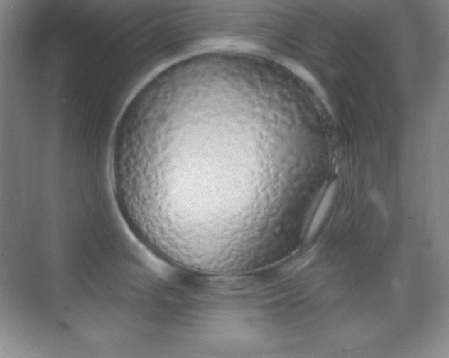 X0000068841391200605191914